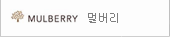 멀버리